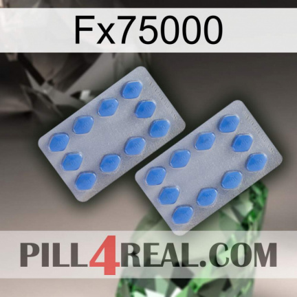 Fx75000 20
